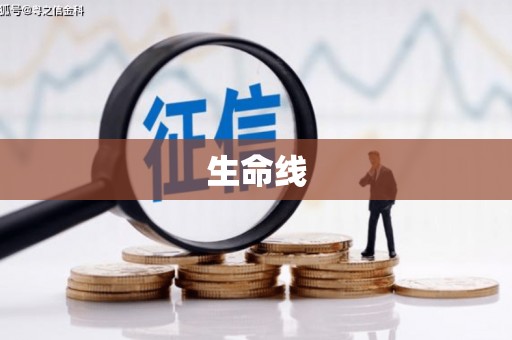怀化生命线
