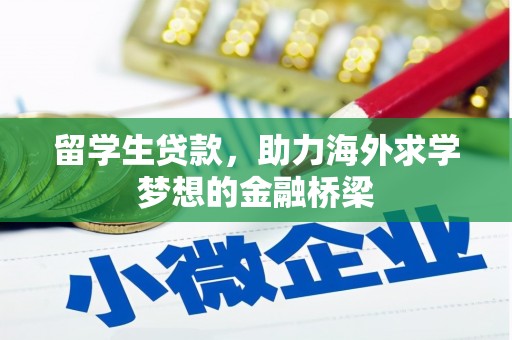 怀化留学生贷款，助力海外求学梦想的金融桥梁