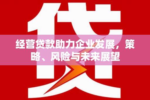 怀化经营贷款助力企业发展，策略、风险与未来展望