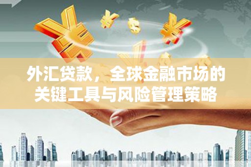 怀化外汇贷款，全球金融市场的关键工具与风险管理策略