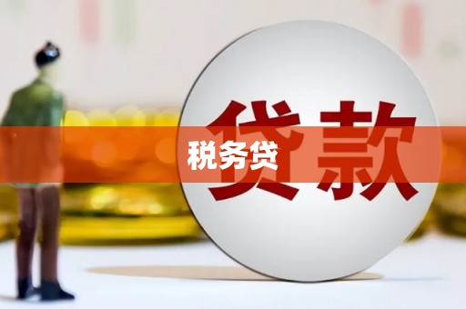 怀化税务贷
