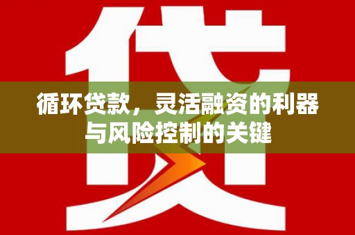 怀化循环贷款，灵活融资的利器与风险控制的关键