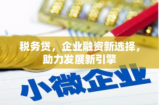 怀化税务贷，企业融资新选择，助力发展新引擎