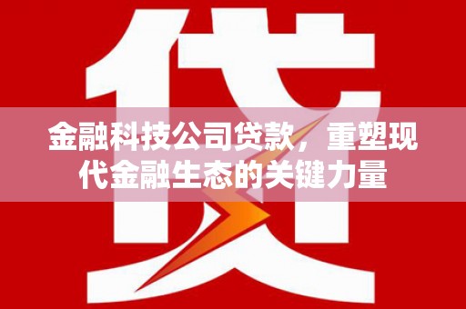 怀化金融科技公司贷款，重塑现代金融生态的关键力量
