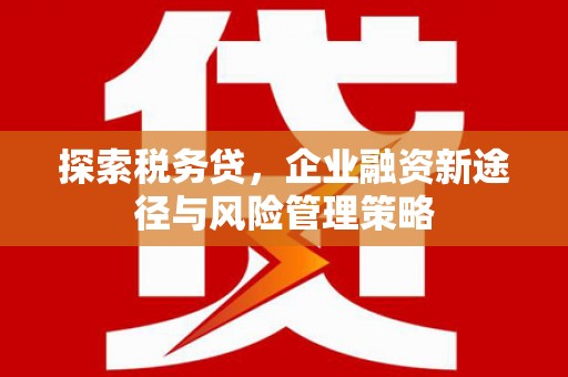 怀化探索税务贷，企业融资新途径与风险管理策略
