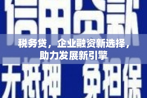怀化税务贷，企业融资新选择，助力发展新引擎