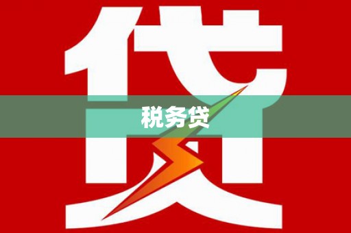 怀化税务贷