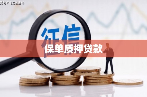怀化保单质押贷款