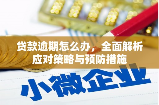 怀化贷款逾期怎么办，全面解析应对策略与预防措施