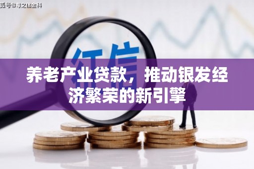 怀化养老产业贷款，推动银发经济繁荣的新引擎