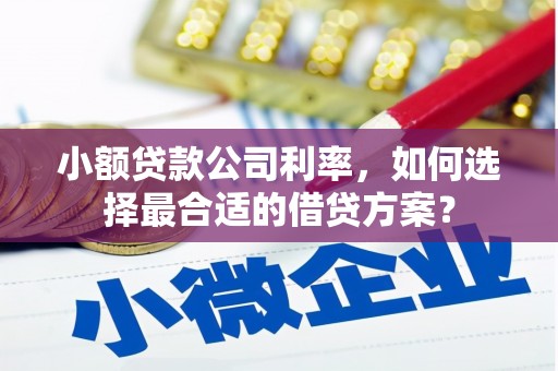 怀化小额贷款公司利率，如何选择最合适的借贷方案？
