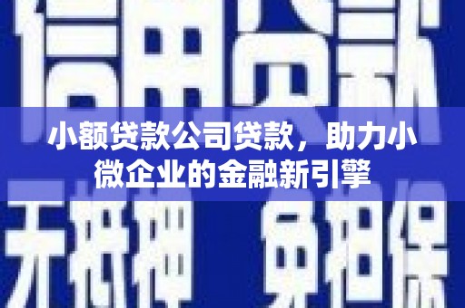 怀化小额贷款公司贷款，助力小微企业的金融新引擎