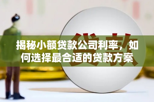 怀化揭秘小额贷款公司利率，如何选择最合适的贷款方案