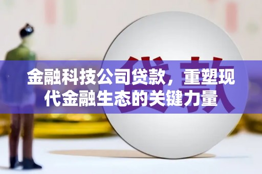 怀化金融科技公司贷款，重塑现代金融生态的关键力量