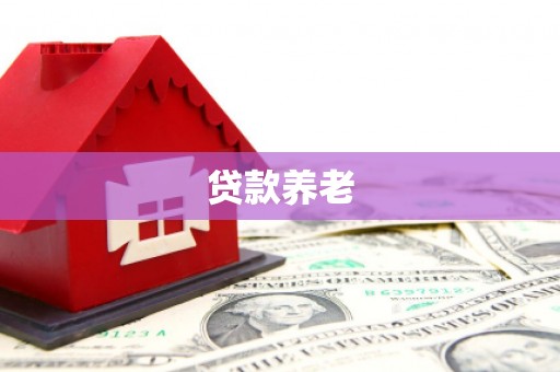 怀化贷款养老