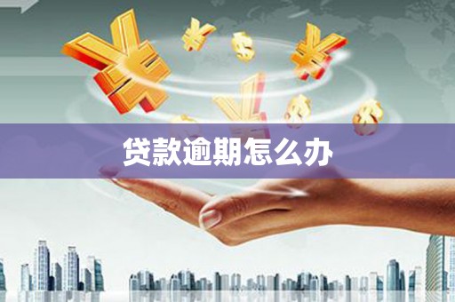 怀化贷款逾期怎么办