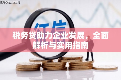 怀化税务贷助力企业发展，全面解析与实用指南
