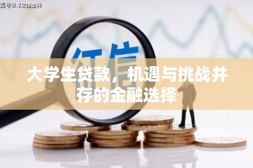 怀化大学生贷款，机遇与挑战并存的金融选择