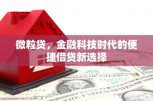 怀化微粒贷，金融科技时代的便捷借贷新选择