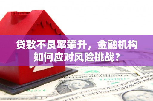 怀化贷款不良率攀升，金融机构如何应对风险挑战？