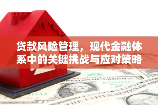 怀化贷款风险管理，现代金融体系中的关键挑战与应对策略