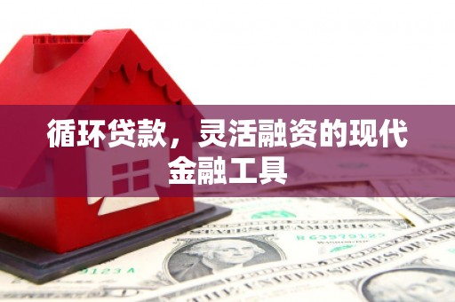 怀化循环贷款，灵活融资的现代金融工具