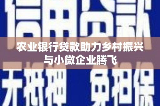 怀化农业银行贷款助力乡村振兴与小微企业腾飞