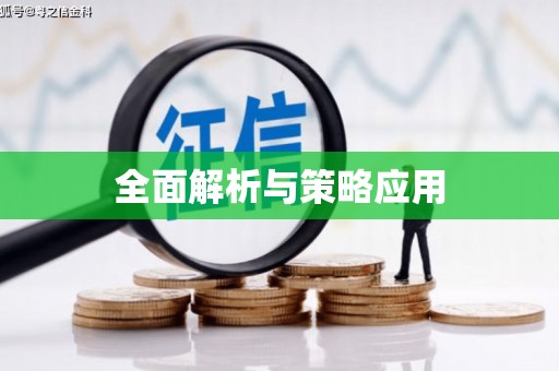怀化全面解析与策略应用
