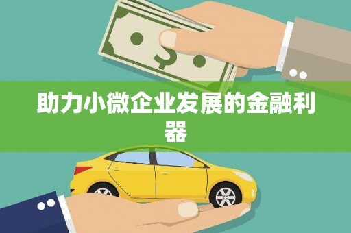 怀化助力小微企业发展的金融利器