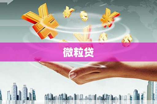 怀化微粒贷