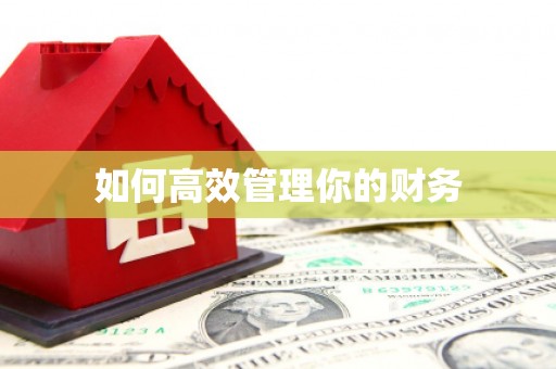 怀化如何高效管理你的财务