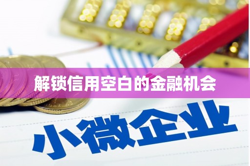 怀化解锁信用空白的金融机会