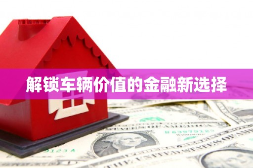 怀化解锁车辆价值的金融新选择