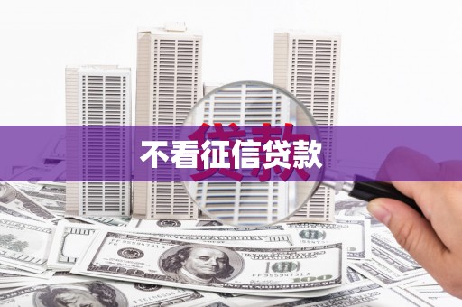 怀化不看征信贷款