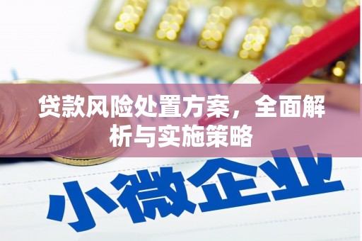 怀化贷款风险处置方案，全面解析与实施策略