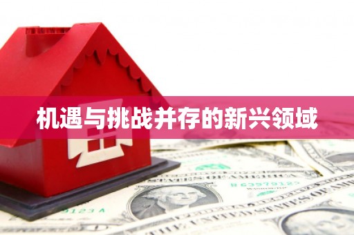 怀化机遇与挑战并存的新兴领域