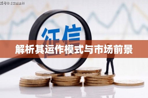 怀化解析其运作模式与市场前景