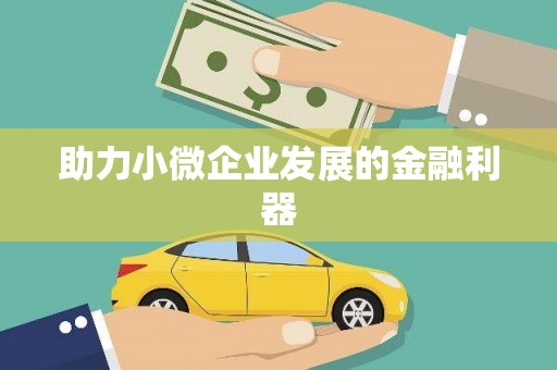 怀化助力小微企业发展的金融利器