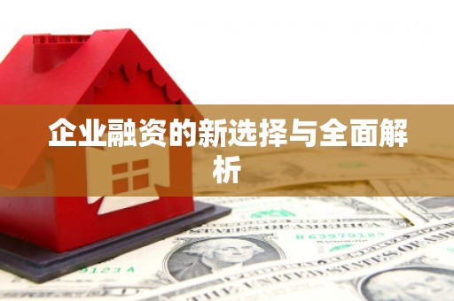 怀化企业融资的新选择与全面解析