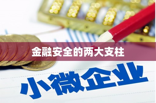 怀化金融安全的两大支柱