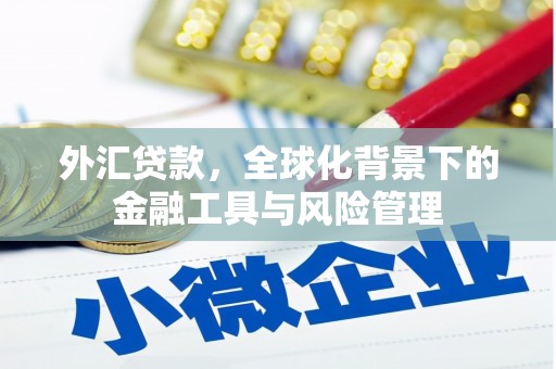 怀化外汇贷款，全球化背景下的金融工具与风险管理