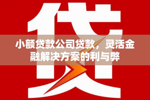 怀化小额贷款公司贷款，灵活金融解决方案的利与弊