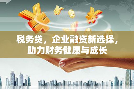 怀化税务贷，企业融资新选择，助力财务健康与成长
