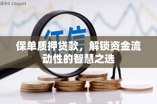怀化保单质押贷款，解锁资金流动性的智慧之选