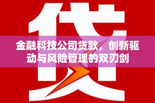 怀化金融科技公司贷款，创新驱动与风险管理的双刃剑