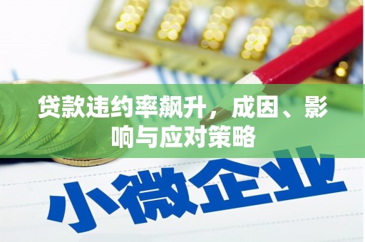 怀化贷款违约率飙升，成因、影响与应对策略